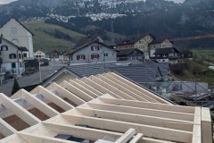 thumbnail_IMG_0493